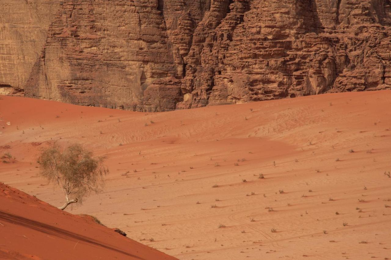 Wadi Rum Nights Luaran gambar