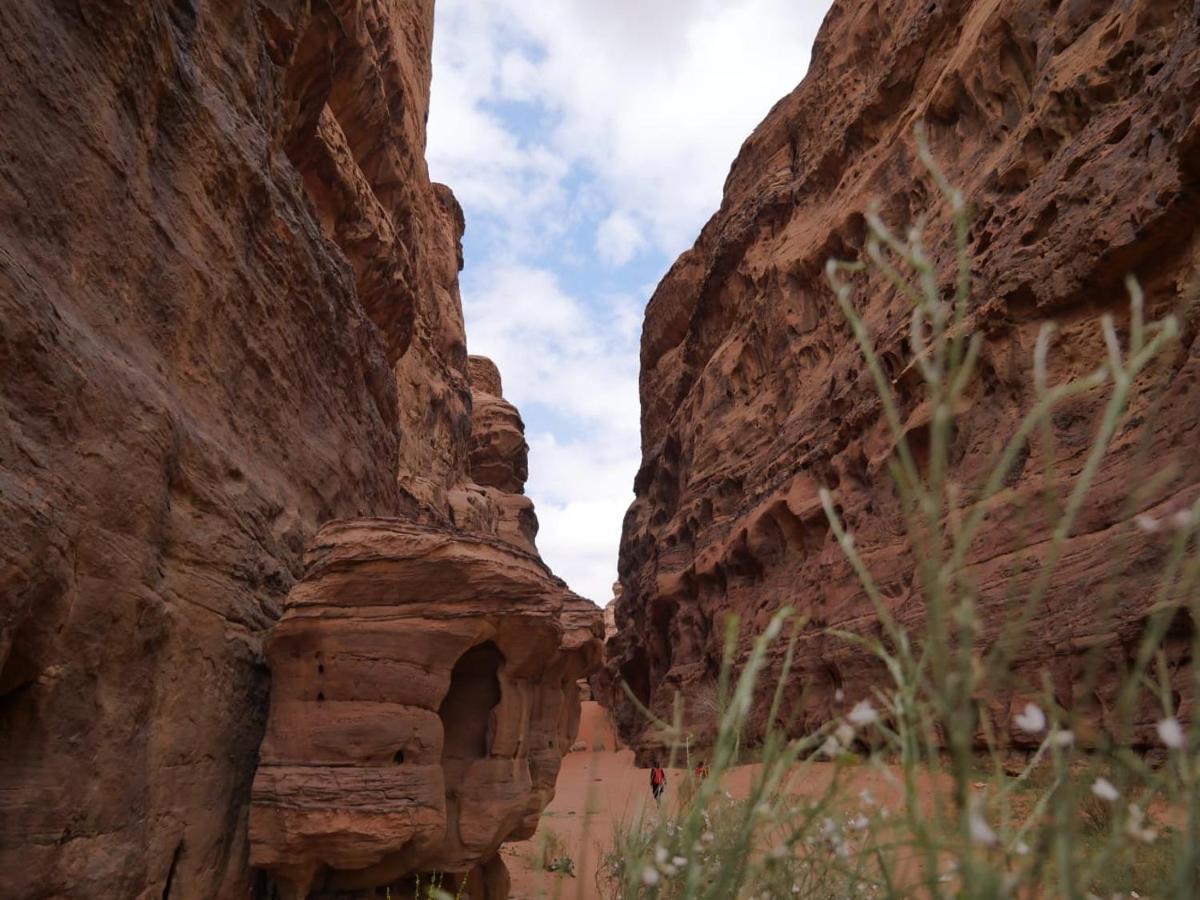 Wadi Rum Nights Luaran gambar