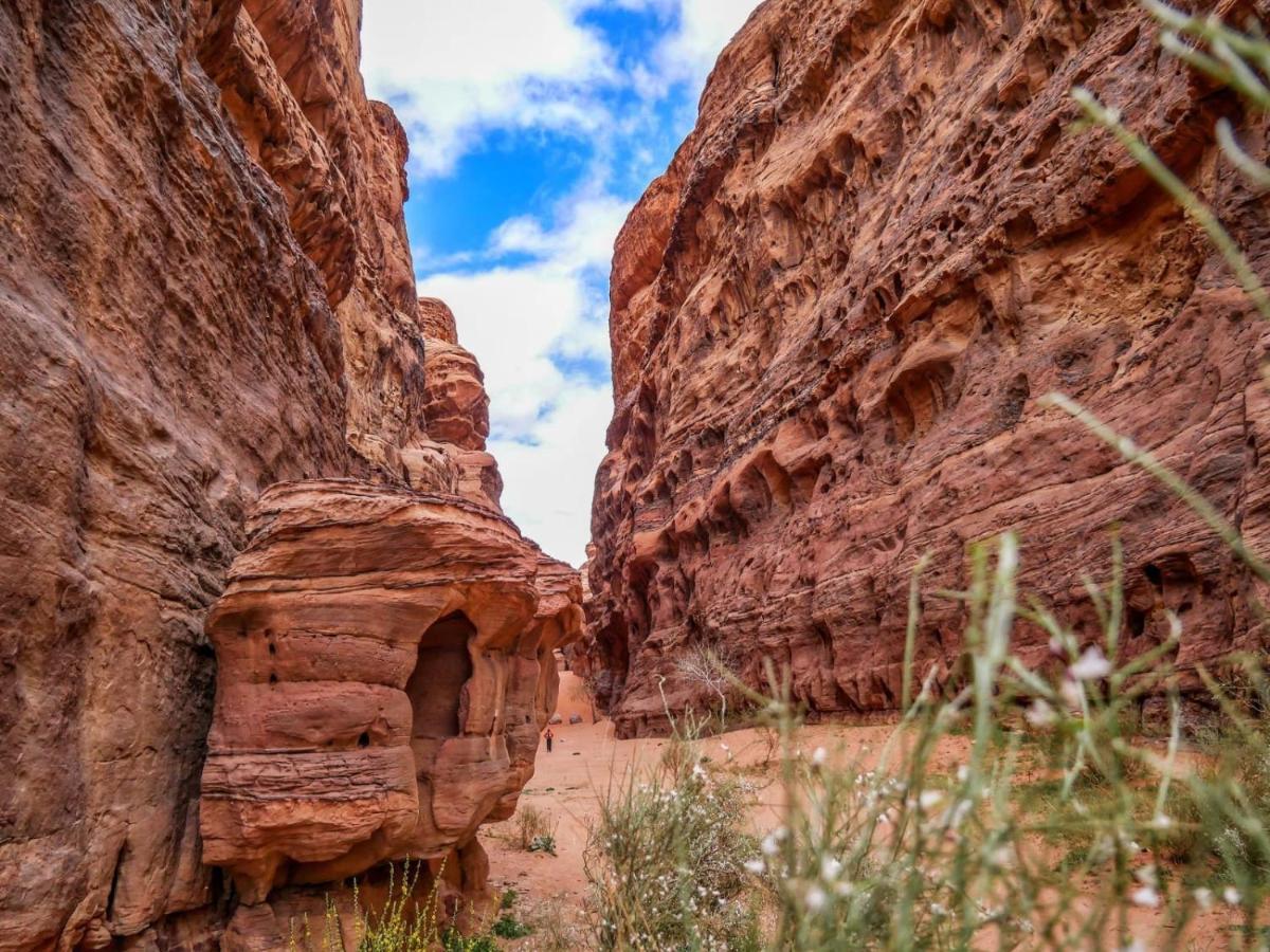 Wadi Rum Nights Luaran gambar