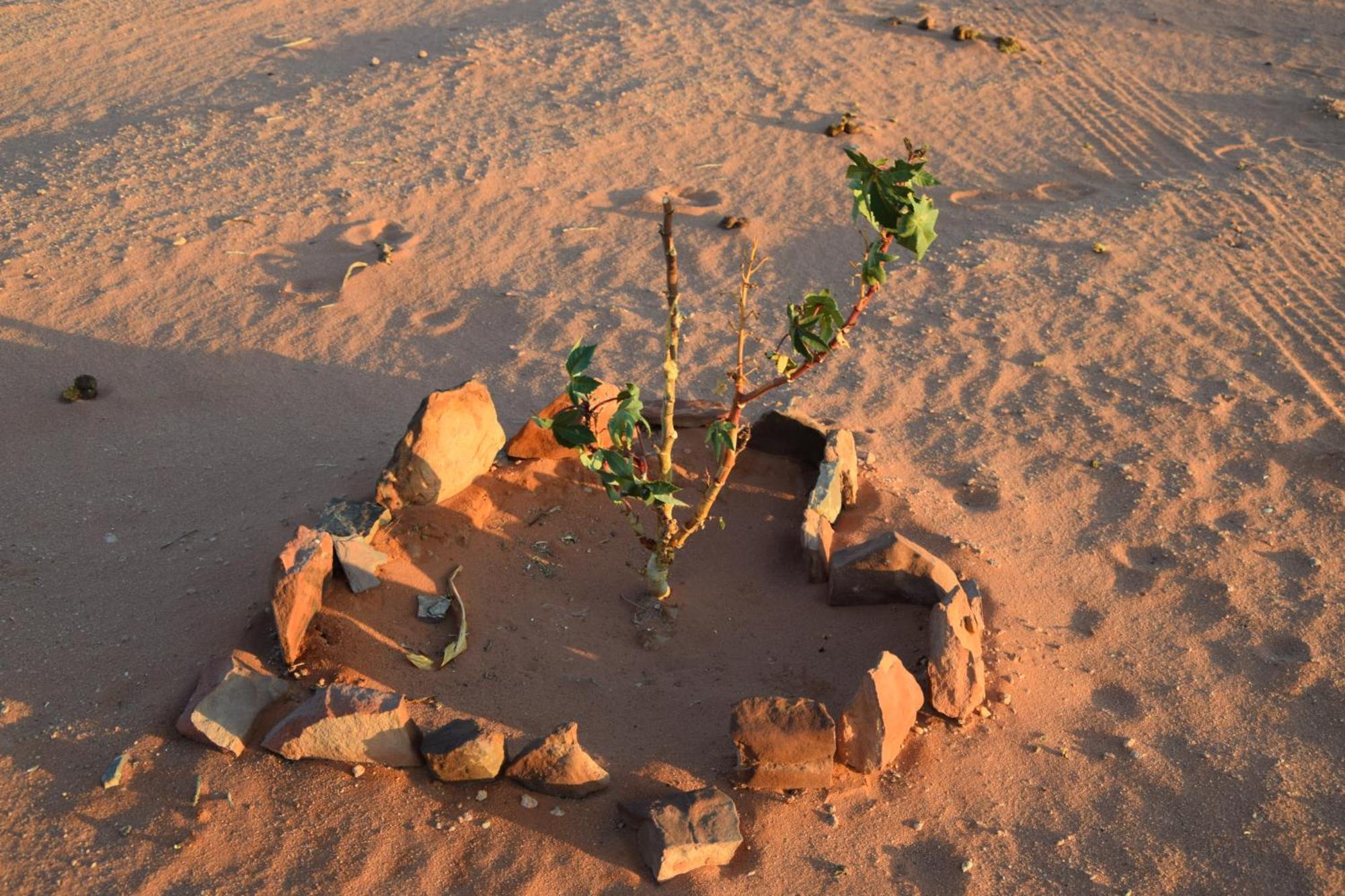 Wadi Rum Nights Luaran gambar